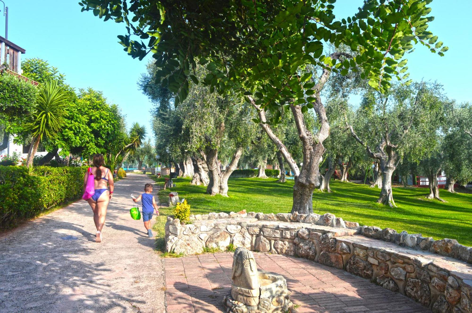 רודי גרגניקו Villaggio Uliveto מראה חיצוני תמונה