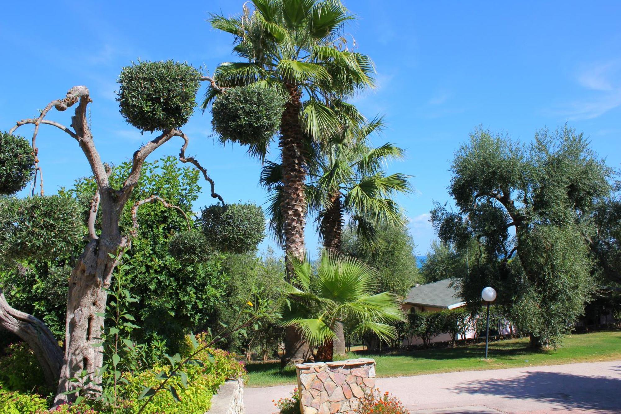 רודי גרגניקו Villaggio Uliveto מראה חיצוני תמונה